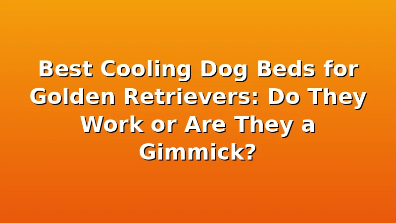 Best Cooling Dog Beds for Golden Retrievers: Do They Work or Are They a Gimmick? - GoldenRetrieverBeds review with measurements and honest opinion