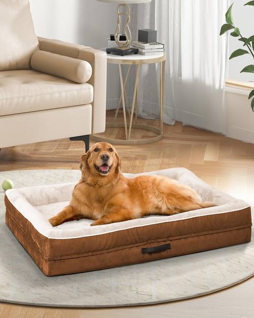 The Upvilla Sofa is for dogs who need a headrest
